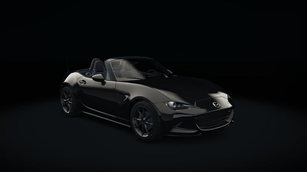 Jet Black Mica